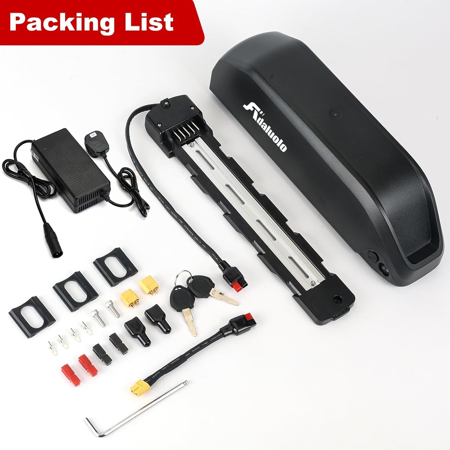 48v Electric Bike Battery