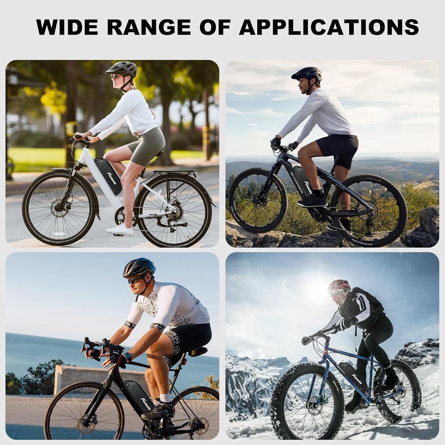 48v Electric Bike Battery