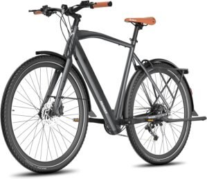 Fafrees 29″ Electric Bike for...