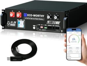 ECO-WORTHY LiFePO4 Battery 48V 100A...