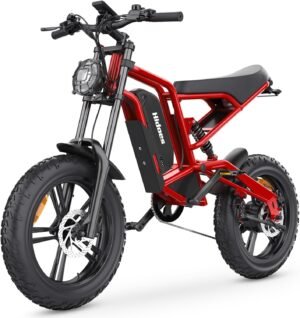 iENYRID Electric Bike for Adults, F...