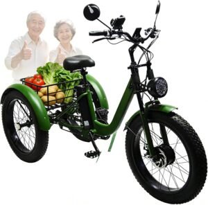 24 inch Adult Electric Cargo Fat Ti...
