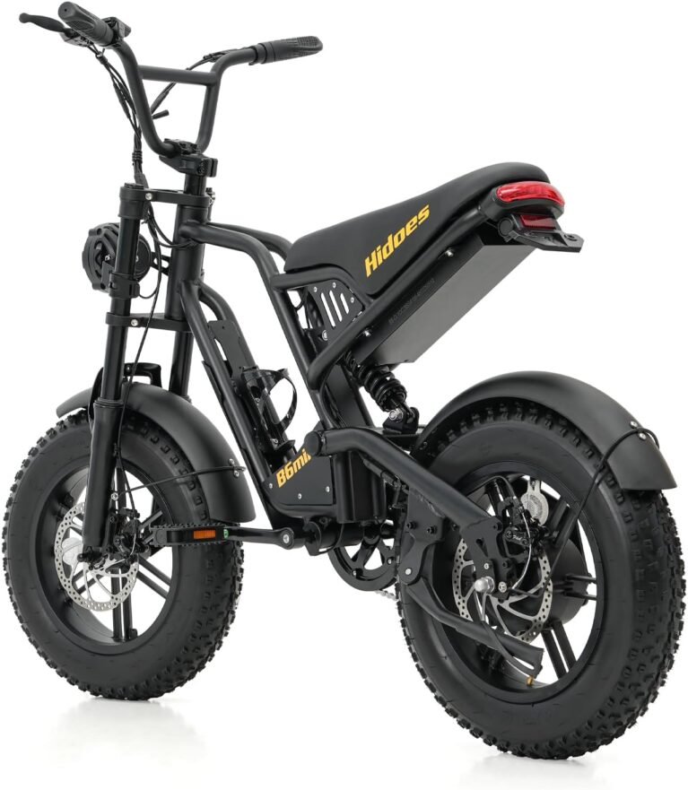 Fat Tire Electric Bike 16"x4", 250W Motor, 30–60KM Long Range, Dual Disc Brakes, Multiple Shock Suspension – Winter Snow, Beach & Mountain E-Bike for Adults & Teens