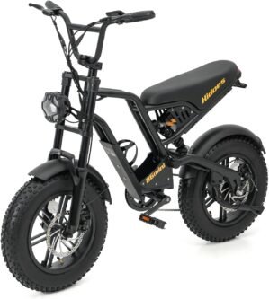 Kanpe 20″ * 4″ Electric...