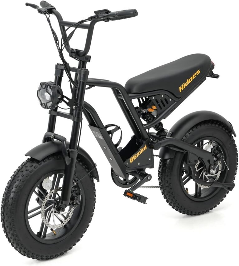 Kanpe 20" * 4" Electric Bikes for Adults,Hidoes B6 Road Bike Electric Mountain Bike with 48V 15.6Ah Removable Battery, 80KM Range,7-Speed,LCD Display,Fat Tyre E-bike with Dual Suspension