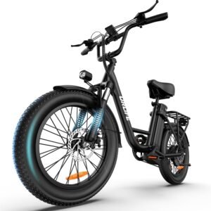 URLIFE 20″ Electric Bike for ...