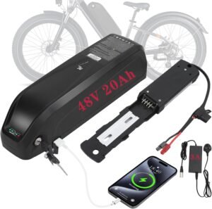 R TEAM Ebike Battery 48v 20AH with ...