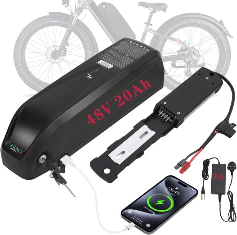 R TEAM Ebike Battery 48v 20AH with 3A Charger, USB Port,Built in Samsung 50GB Cells,Lithium Electric Bike Battery for Rear or Front 30A 17A Controller Motor (Bafang, AW, KT most ebike conversion kit)