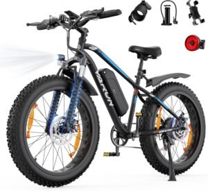 Electric Fat Tire Bikes