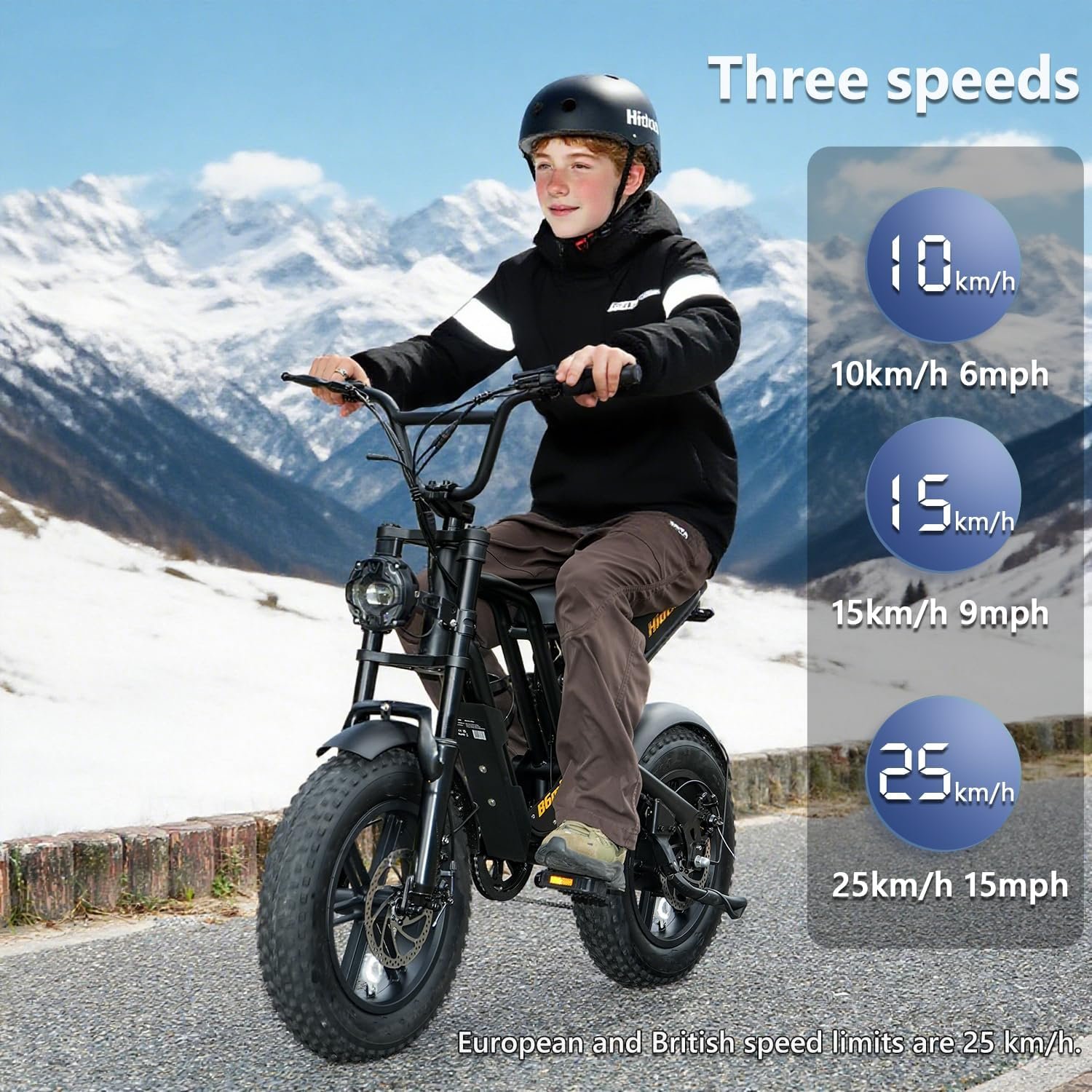 Kanpe 20" * 4" Electric Bikes for Adults,Hidoes B6 Road Bike Electric Mountain Bike with 48V 15.6Ah Removable Battery, 80KM Range,7-Speed,LCD Display,Fat Tyre E-bike with Dual Suspension - Image 7