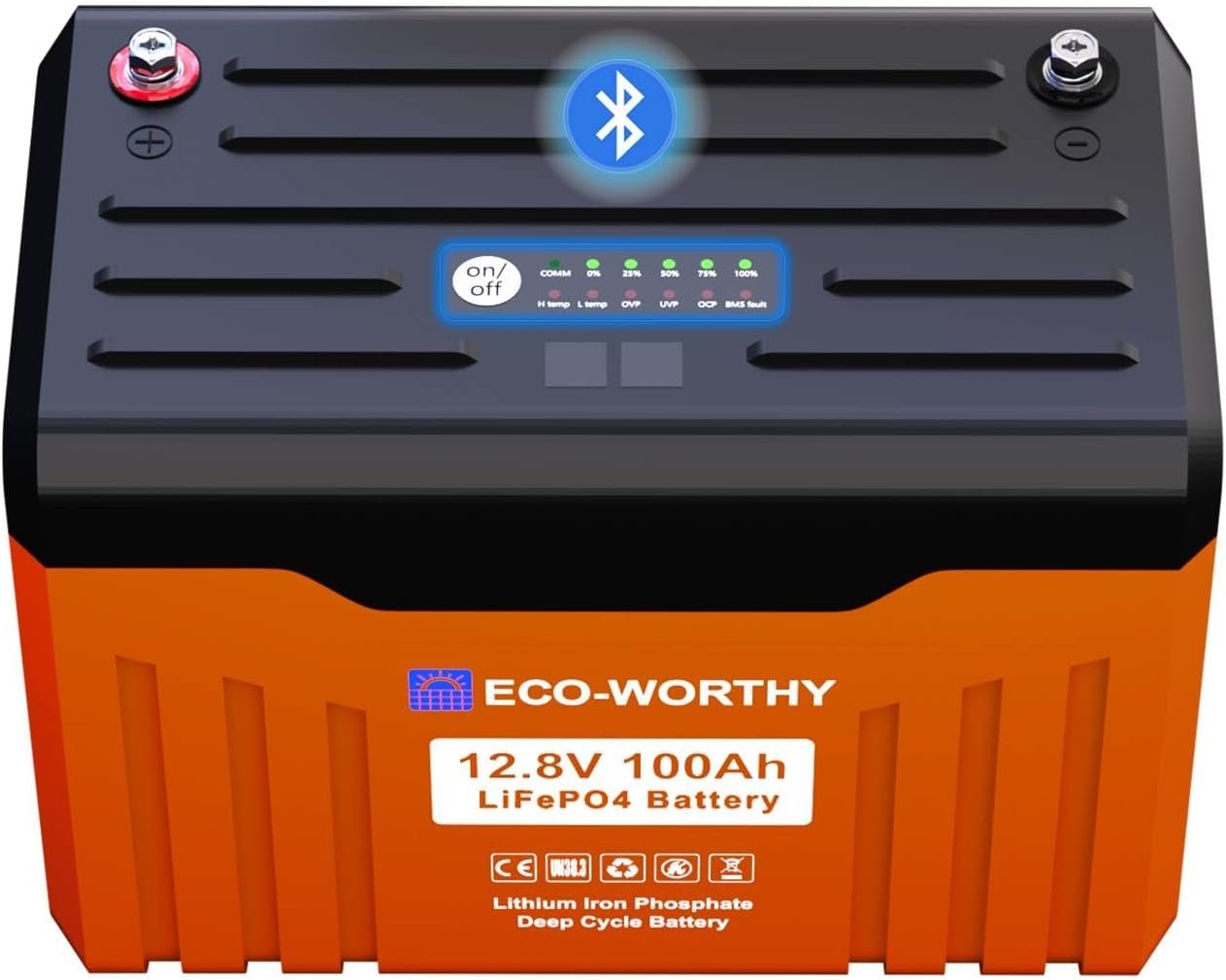 Eco Worthy Electric Bike
