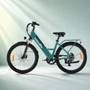 Electric Bike 36v17 5ah