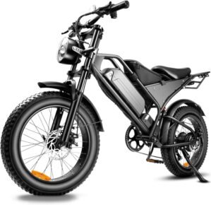 Electric Bike 48v18 2ah