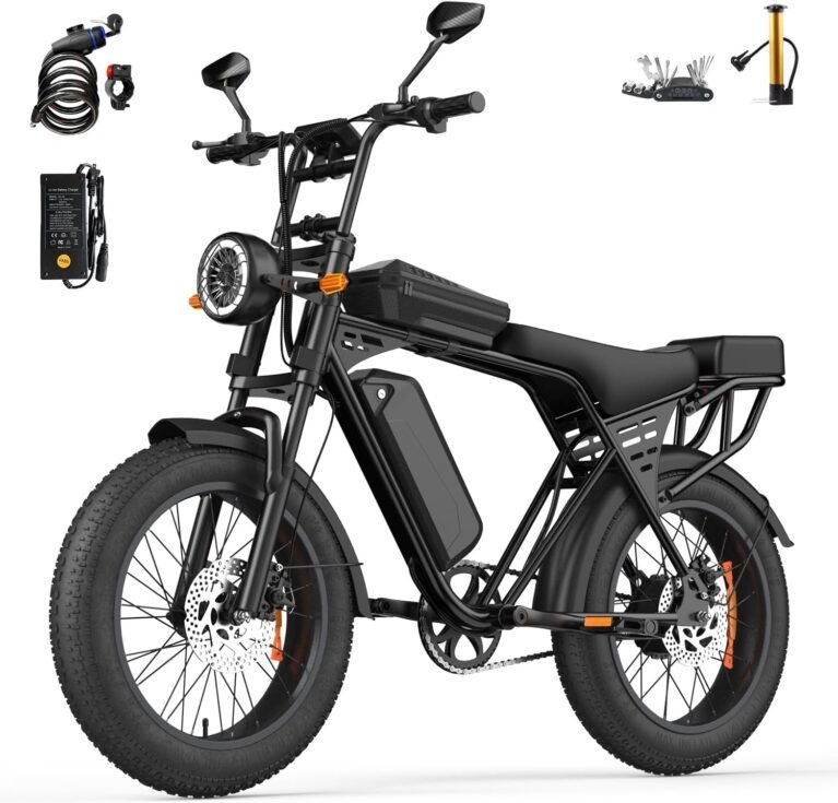 Electric Bike for Adults, 20 x 4'' Fat Tyre Mountain Ebike with 80KM Range & 48V 15AH Removable Battery, 250W Motor 25KM/H X5 Electric Dirt Bike with Bicycle Pump and Cycling Bag
