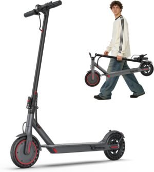 Electric Scooter 350w Sco