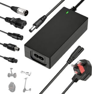 Electric Scooter Rider Friendly Daily Scooter Electric Bike Battery Chargers for electric bike riders and smart electric mobility