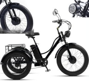 Electric Tricycle Bike Parts