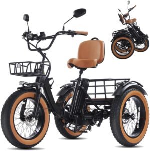 Electric Tricycle Folding Bike