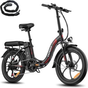 Fafrees F20 Electric Bike
