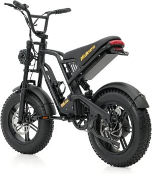 Fat Tire Electric Bike