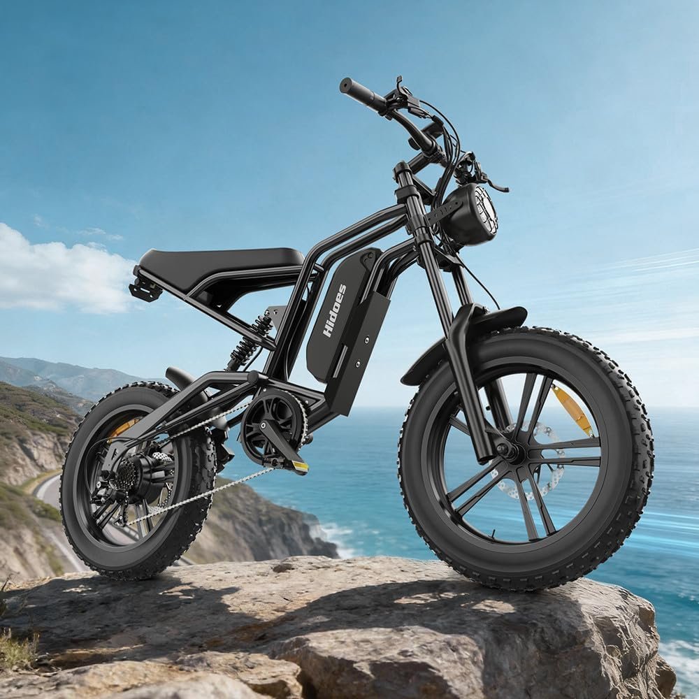 Ienyrid Electric Bike Fat
