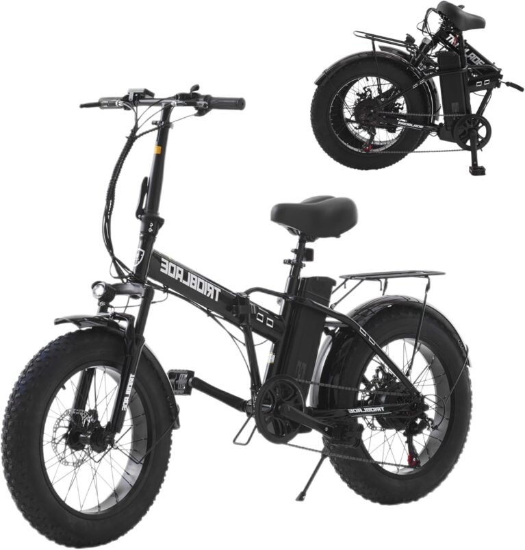 20 Inch Fat Tire Electric Bike Folding Electric Bicycle with 250W Motor Removable 36V Battery 7 Speed Drivetrain City Bike Portable E-bike Electric Mountain Bike for Unisex Adult