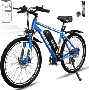 Rcb Inch Electric Bike