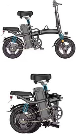 Rexhan Folding Electric Bike