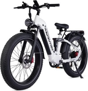 Rzoguwex Electric Bike Parts