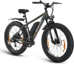 Spatial Electric Bike