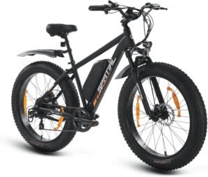 Spatial Electric Bike Fat