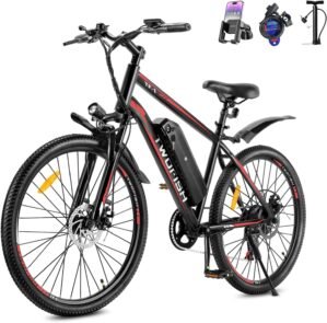 Twofish Electric Bike