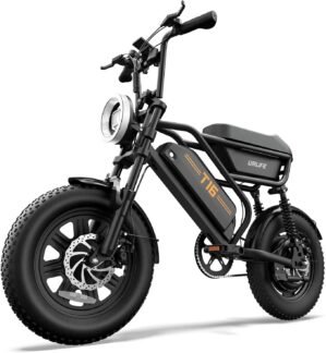 Urlife Electric Bike