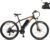 Fafrees Electric Bike for Adults, 26″/27.5″ Electric Bicycle, 250W Pedal Assist Ebike for Men Ladies, Removable 13–15Ah Battery, 21 Speed MTB for City, EAPC