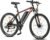 Fafrees 26″ Electric Mountain Bike Removable Battery 36V13.5Ah EAPC Electric Bike for Adults 250W Pedal Assist Ebike, with 21 Speeds,LCD Display,Dual Disc Brakes,Front Fork Suspension