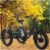 CNAOHGHN Motor Adult Electric Trike, 500W 48V Electric Trike, 20″ Fat Tire 3 Wheel Electric Bike with Removable Battery, Toolkit, All-Terrain E-Bike for Adults and Teens