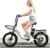 SAMEBIKE 20″ Electric Bike for Adults,48V13AH Removable Battery,Max Speed 25KM/H, Top Power 250W Motor Folding E-Bike,Commuter Electric Bicycle for Women and Men