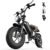 VARUN Electric Bike, Max 100KM EBike, 48V 13Ah Removable Battery, All-Terrain Electric bicycle, 5 PAS LCD Display, Dual Suspension, LED Indicators, 16″ x 4.0 Fat Tire for Teens & Adults