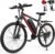 VARUN Electric Bikes for Adults, 27.5″ Electric Mountain Bike with 48V 624Wh Battery, 55Nm 250W Motor, LCD Display, 4 Riding Mode, M27-1 E-Bike with 21 Speed Gear, Mileage up to 100KM